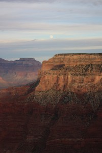 IMG_2490