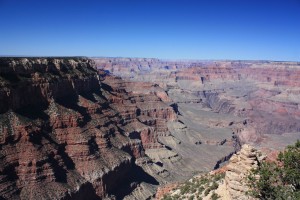 IMG_2521