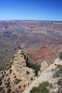 IMG_2526