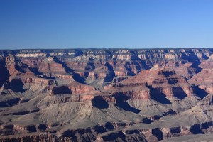 IMG_2561