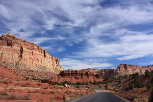 IMG_3515