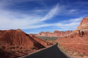 IMG_3525