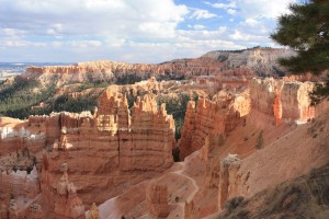 IMG_3695