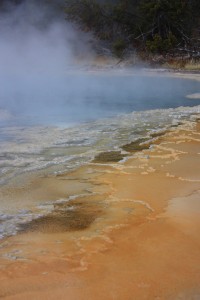 IMG_3959